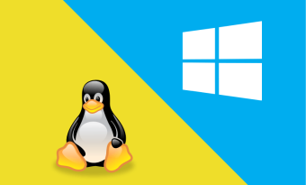 linux ou windows para programar