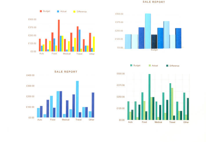 A imagem apresenta quatro gráficos de barras intitulados "Sale Report". Eles descrevem dados com as categorias Auto, Alimentação, Medicina, Viagem e Outros e comparam diversos valores.