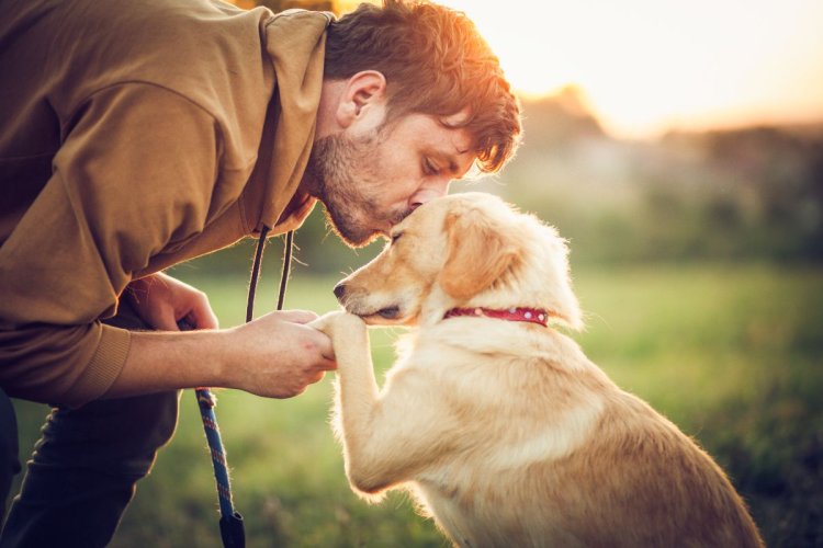 A imagem mostra um homem segurando a patinha de seu cachorro da raça golden retriever. Ele dá um beijo na cabeça do pet, mostrando o seu carinho para com o animal, e são sentimentos assim que movimentam esse mercado. 