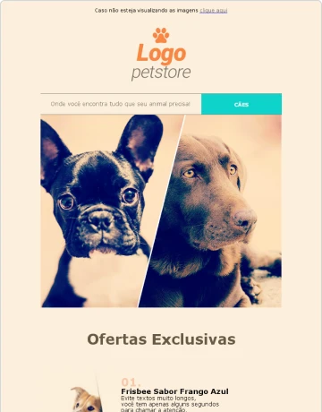 Modelo de email marketing